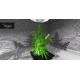 iGrow Game Steam Gift