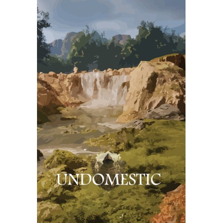 Undomestic Steam CD Key