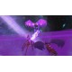 Elysium Trials Steam CD Key