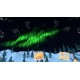 Differlands Steam CD Key
