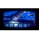 UNREAL LIFE NA Nintendo Switch CD Key