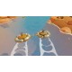 Biped Steam Account
