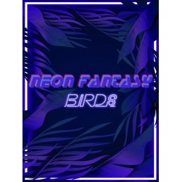 Neon Fantasy: Birds PC Steam CD Key