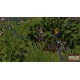 Europa Universalis IV - Evangelical Union Unit Pack DLC PC Steam CD Key