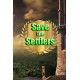 Save the settlers Steam CD Key