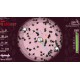 PAPER PLANET Steam CD Key