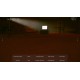 Spectator Steam CD Key