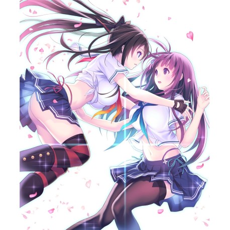Valkyrie Drive -Bhikkhuni- Complete Edition Steam CD Key