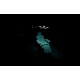 The Hunted Steam CD Key