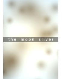 The Moon Sliver Steam CD Key