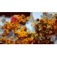 Land Above Sea Below Steam CD Key