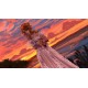 Lovely Brides Steam CD Key