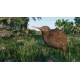 Planet Zoo - Oceania Pack DLC Steam CD Key