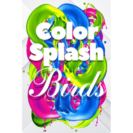 Color Splash: Birds Steam CD Key