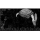 The Tribulation Entanglement Steam CD Key