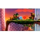 Sonic Superstars PC Steam CD Key