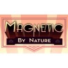 Magnetic By Nature Steam CD Key