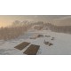 Black Forest PC Steam CD Key