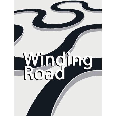 Winding Road Steam CD Key