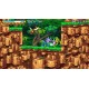Freedom Planet PC Steam CD Key