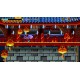 Freedom Planet PC Steam CD Key