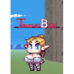 Tower of Boin Steam CD Key