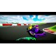 Kart Life Steam CD Key