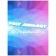 Poly Memory: Primates Steam CD Key