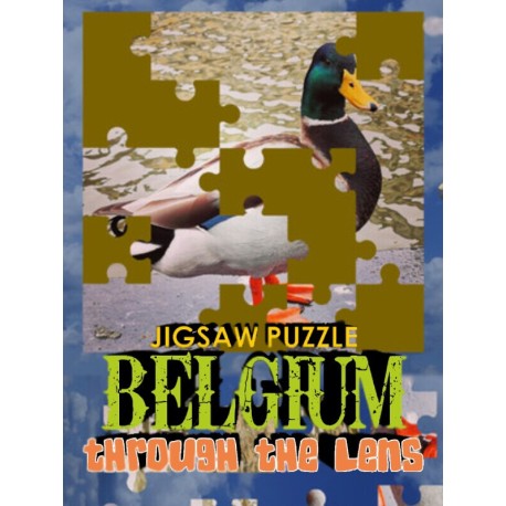 Jigsaw Puzzle: Belgium Through The Lens Steam CD Key