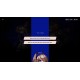 Phantom Rose 2 Sapphire Steam CD Key