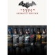 Batman: Arkham City - Arkham City Skins Pack DLC Steam Gift