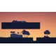 Magic Forest Steam CD Key
