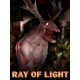 Ray of Light Steam CD Key