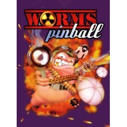 Worms Pinball EU PC Steam CD Key