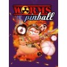 Worms Pinball EU PC Steam CD Key