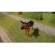Estate Agent Simulator PC Steam CD Key