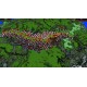 Rogue Warlords Steam CD Key