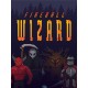 Fireball Wizard PC Steam CD Key