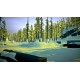 The Long Dark Epic Games Account