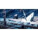 The Long Dark Epic Games Account