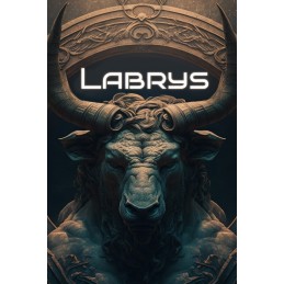 Labrys Steam CD Key