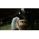 The Ecdysis Steam CD Key