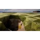 Hedra Steam CD Key