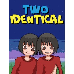 Two Identical Steam CD Key