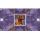 Poly Puzzle: Dogs Steam CD Key
