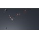 Feylin Steam CD Key
