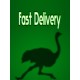 Fast Delivery Steam CD Key