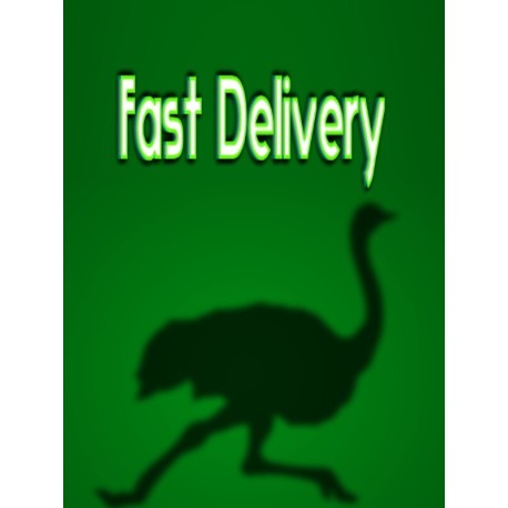 Fast Delivery Steam CD Key