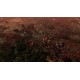 Warhammer 40,000: Gladius Complete Edition 2022 Steam CD Key
