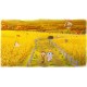 DORAEMON STORY OF SEASONS: Friends of the Great Kingdom - Season Pass DLC Steam CD Key